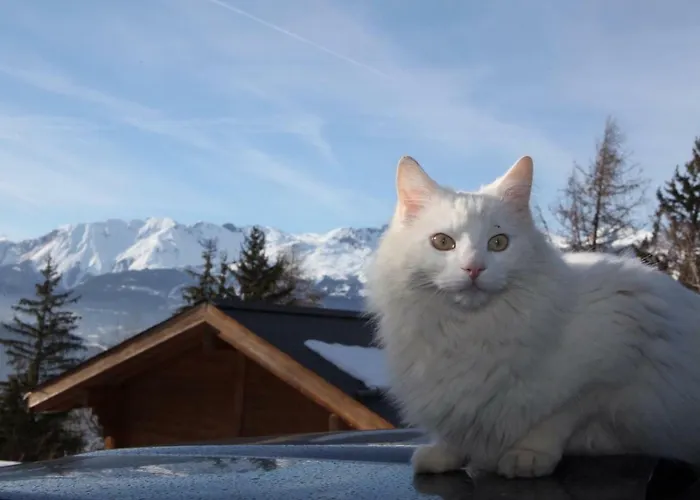 Les Mazots De La Source & מלון 4*